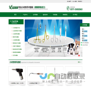 小动物外科器械