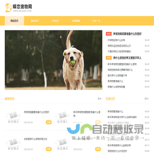 蝶恋宠物网