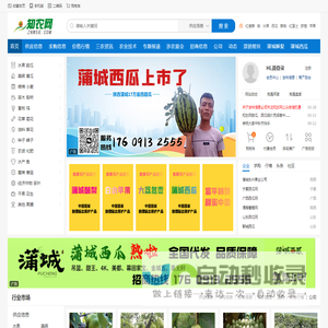 知农网