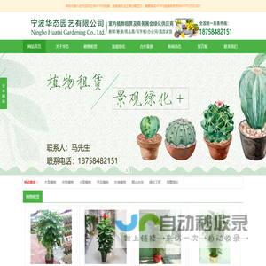 宁波绿植租赁