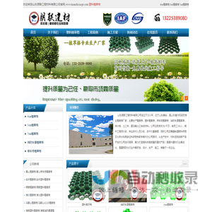 塑料植草格