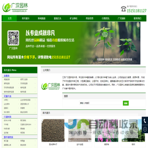 绿化苗木