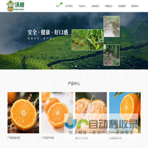 新鲜沃柑