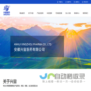 安徽兴宙医药有限公司