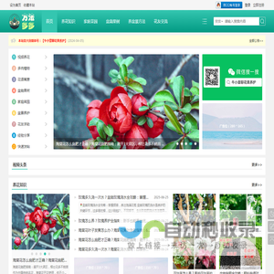 玉米播种机