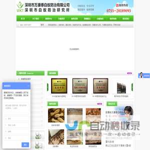 深圳白蚁防治,深圳白蚁消杀公司,深圳白蚁防治收费