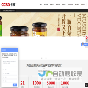 品牌策划公司