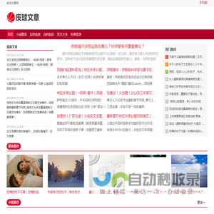 皮球文章网