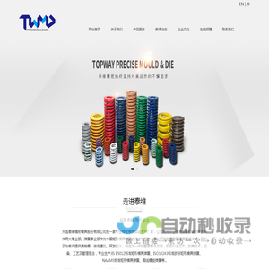 大连泰维精密模具股份有限公司