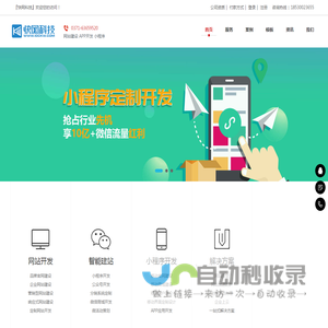 网站开发