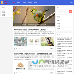 宠乐天地