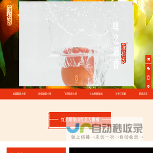象山红美姬柑橘