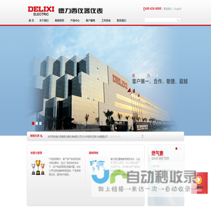 德力西仪器仪表有限公司