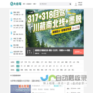 大自驾网