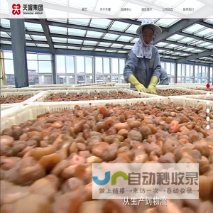 天喔食品（集团）有限公司