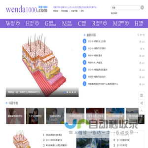 问答1000