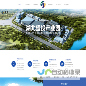 湖北盛投产业园