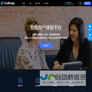 CusBridge
