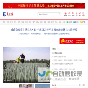 东营网