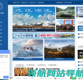 西藏那曲虫草网