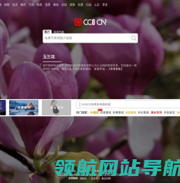 cc0图片网(cc0.cn)