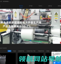集装箱打包充气袋