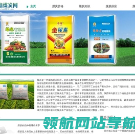 同鼎煤炭网
