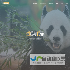 生活与代码