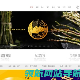 傲风网