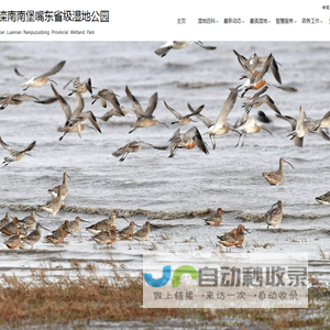 河北滦南南堡嘴东省级湿地公园