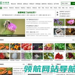 优蜜蜂