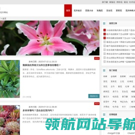 花儿网