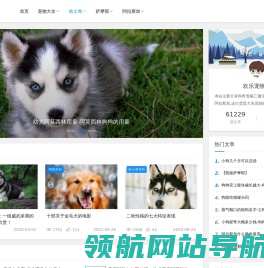 雪橇三傻