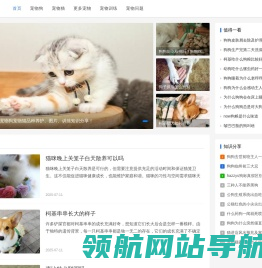 有爱的宠物狗宠物猫品种养护