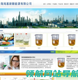 青海鸿基新醇能源有限公司――甲醇汽油