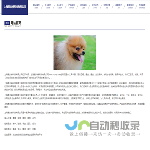 上海赛炎峰科技有限公司
