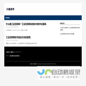 小鱼技术