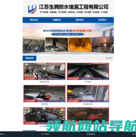 水池堵漏