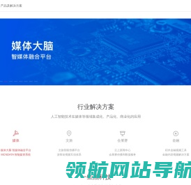 媒体大脑