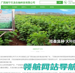 广西南宁天龙生物科技有限公司,专注：桑种,桑苗,桑饲料,蛋白桑,桑果汁,桑果酒