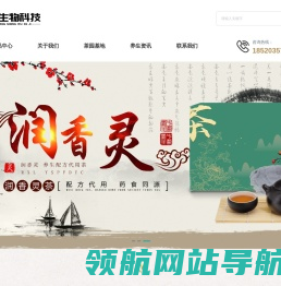 减肥茶销售公司