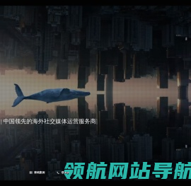 Socialydia海外SNS社媒营销