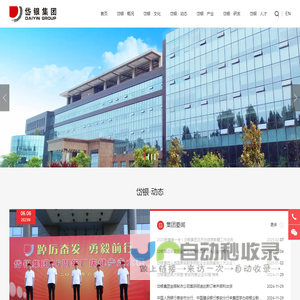 岱银集团