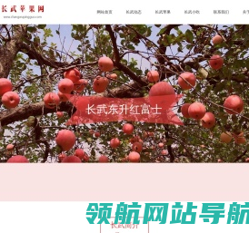 2023长武苹果批发价格