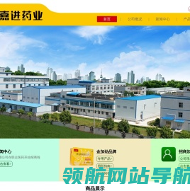 嘉进药业
