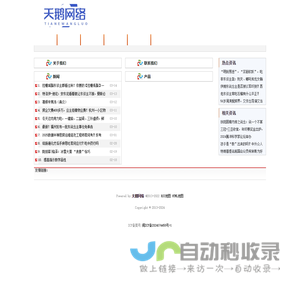 天鹅网络